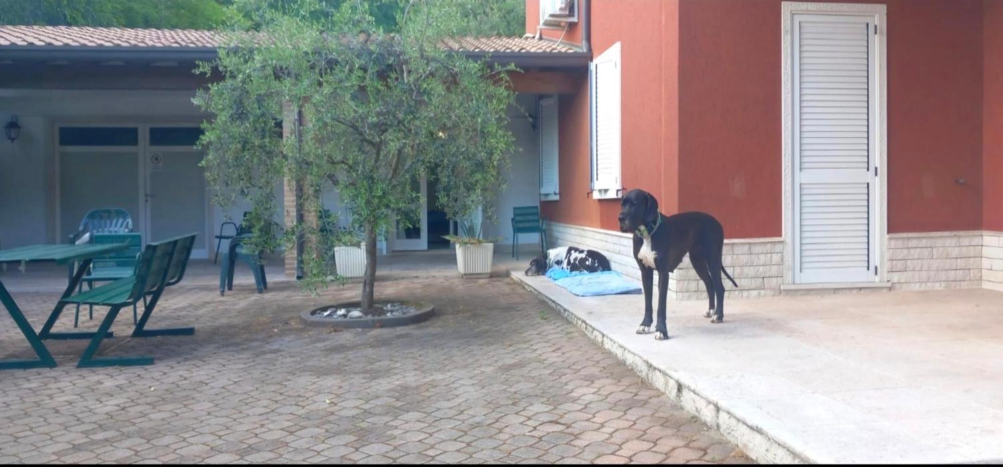 Pace, Luminosita E Comodita A Due Passi Dal Garda Вольта-Мантована Экстерьер фото